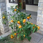Appartement Macola *