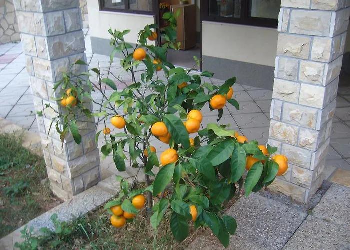 Appartamento Macola *