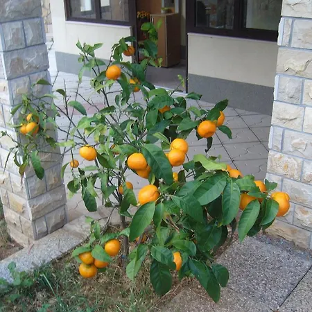 דירה Macola *